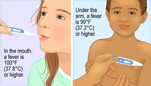 State of Texas Fever-Free Rule